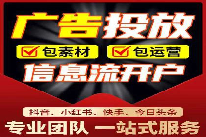 某某SEM团队成功案例：广告投放策略揭秘